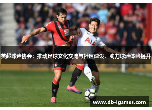 英超球迷协会：推动足球文化交流与社区建设，助力球迷体验提升