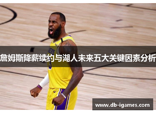 詹姆斯降薪续约与湖人未来五大关键因素分析 詹姆斯降薪续约与湖人未来五大关键因素分析