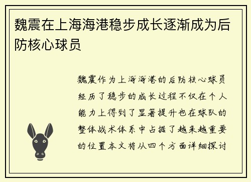 魏震在上海海港稳步成长逐渐成为后防核心球员